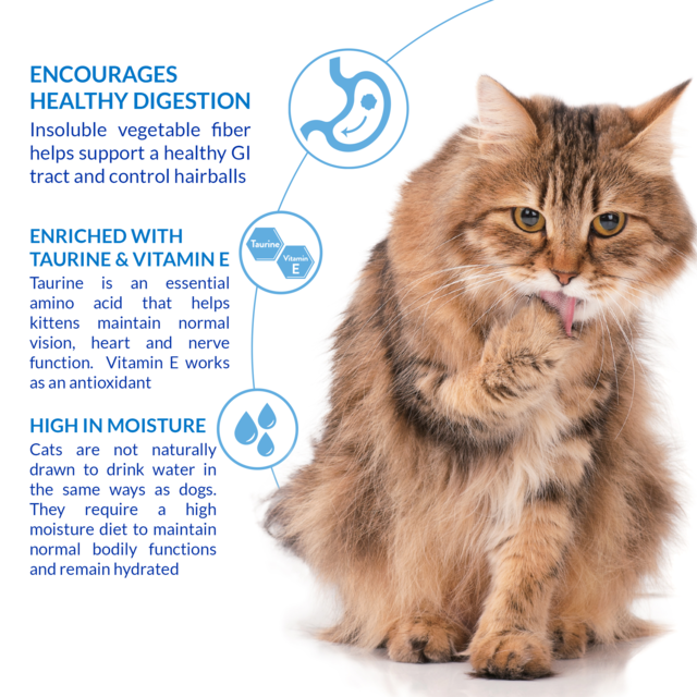 Inaba Churu Indoor & Hairball Care Chicken & Salmon Varieties Box Cat Treats - Product Image 2
