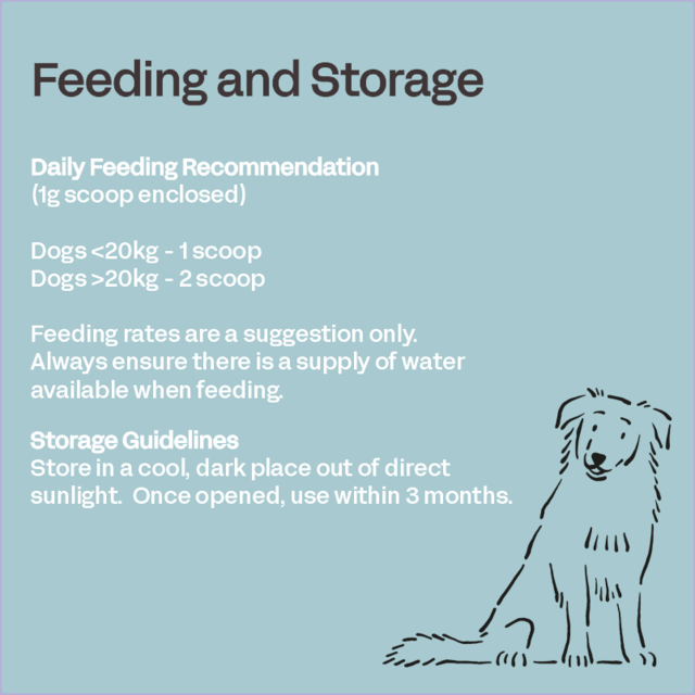 Fourflax Oral Guard Probiotic for Dogs - Product Image 2