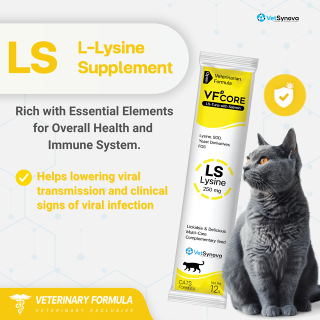 VetSynova VF+ Core LS L-Lysine - Product Image 1