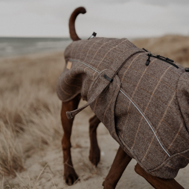 Pointer & Hound Highland Dog Coat  - Product Image 5