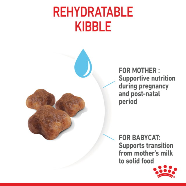 Royal Canin Mother & Babycat Dry Cat Food Trial Bag - Product Image 3