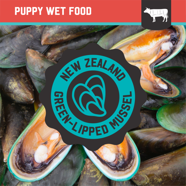 Kiwi Kitchens Beef & Mussel Puppy Wet Dog Food - Product Image 7