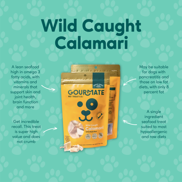 Gourmate Pet Treat Co. Wild Caught Calamari Dog Treats - Product Image 2