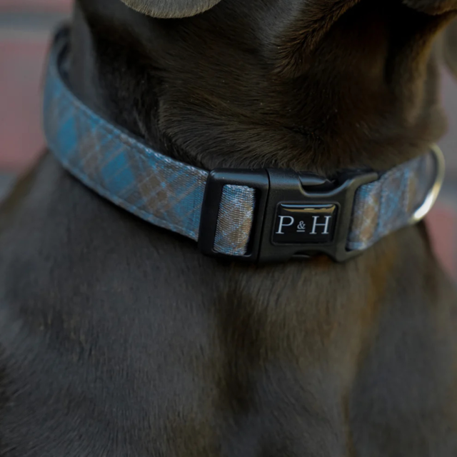 Pointer & Hound Signature Dog Collar - Product Image 7