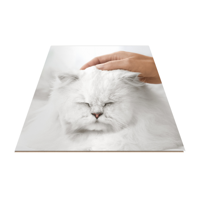 Fancy Feast Gems Mousse Pate with Tuna Wet Cat Food - Product Image 7