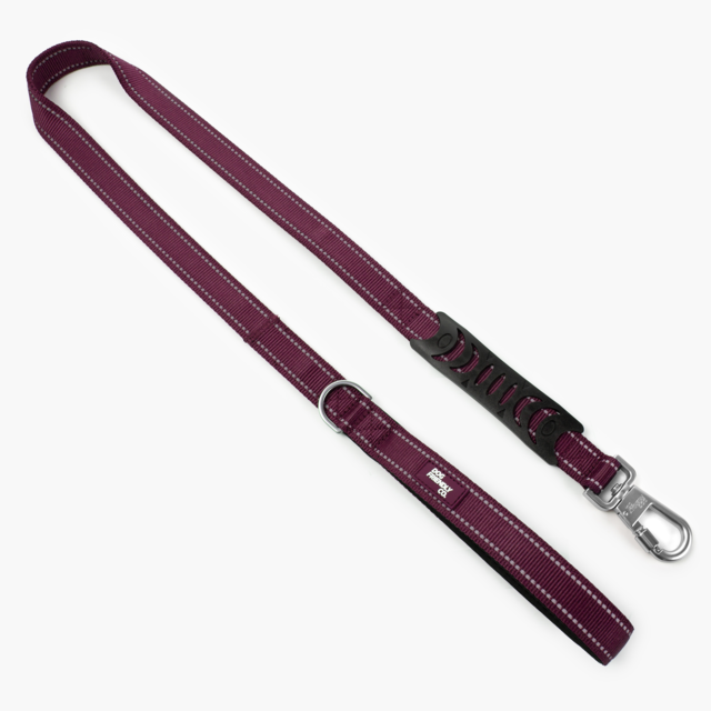 Dog Friendly Co. Premium Classic Dog Leash  - Product Image 2