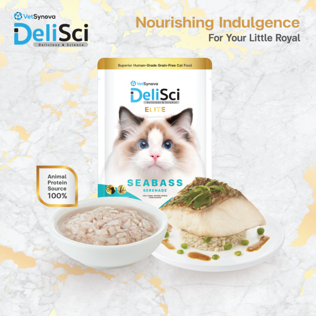 VetSynova DeliSci Elite Seabass Serenade in Broth Wet Cat Food Topper - Product Image 1