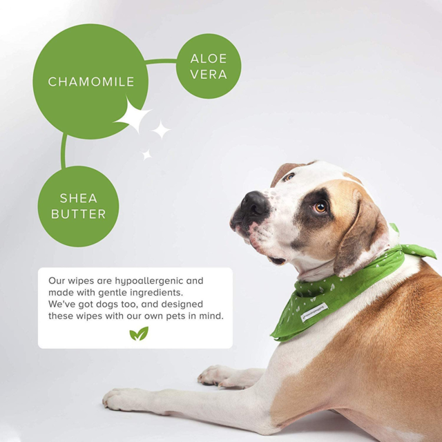 Earth Rated Compostable Dog Wipes - Product Image 1