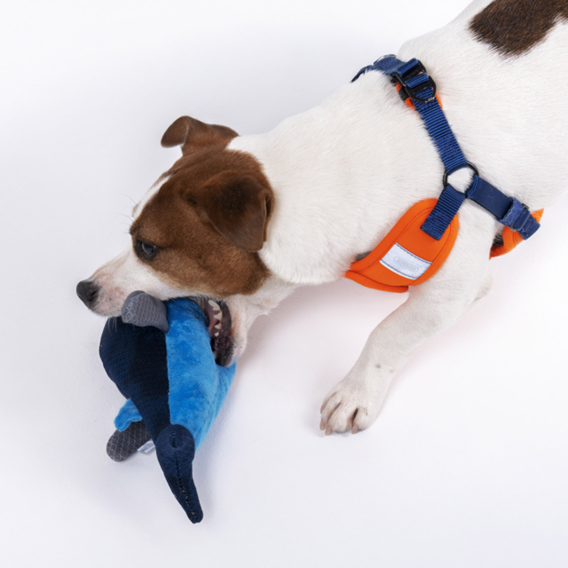 JOYSER Mightus Whale with Squeaker Dog Plush Toy - Product Image 3