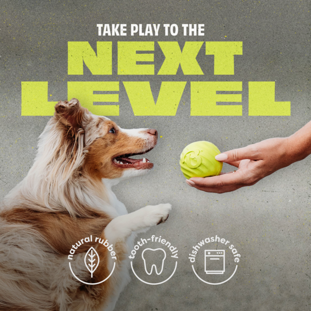 Benebone Bounce Ball Dog Toy - Product Image 6