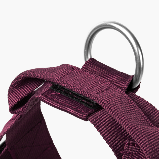 Dog Friendly Co. Premium Dog Harness  - Product Image 4