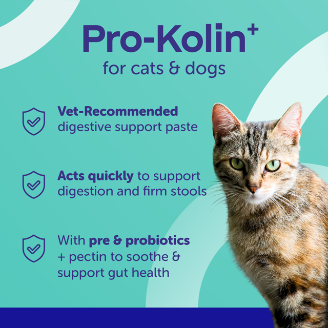 Protexin Veterinary Pro-Kolin+ Paste Gut Health for Cats & Dogs - Product Image 1