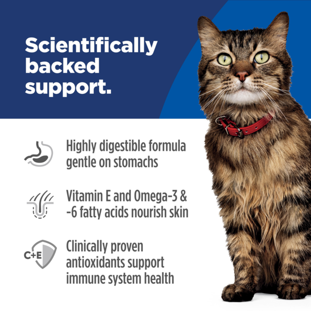 Hill's Science Diet Adult Sensitive Stomach & Skin Chicken Dry Cat Food - Product Image 4