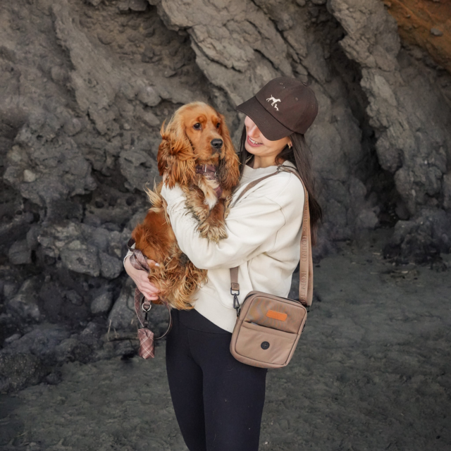Pointer & Hound Walk Bag  - Product Image 2