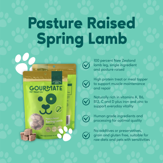 Gourmate Pet Treat Co. Pasture Raised Spring Lamb Dog Treats - Product Image 3