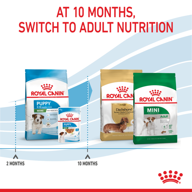 Royal Canin Mini Puppy Dry Dog Food - Product Image 7