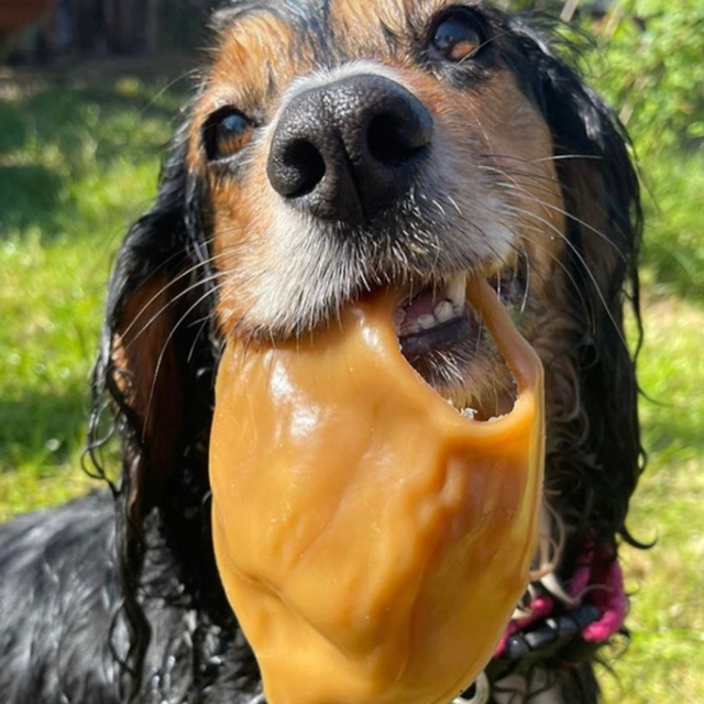 Mak's Patch Pig Ear Dog Treats - Product Image 3