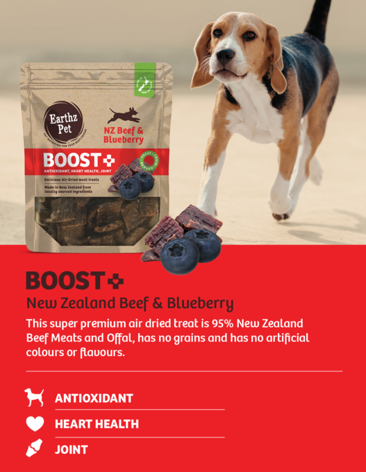 Earthz Pet BOOST+ Beef & Blueberry Air Dried Dog Treats - Product Image 1
