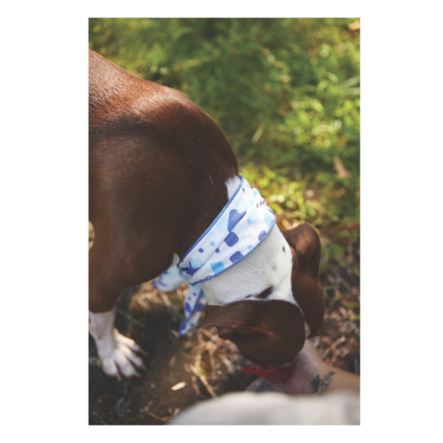 M-PETS Cooling Dog Scarf - Product Image 9