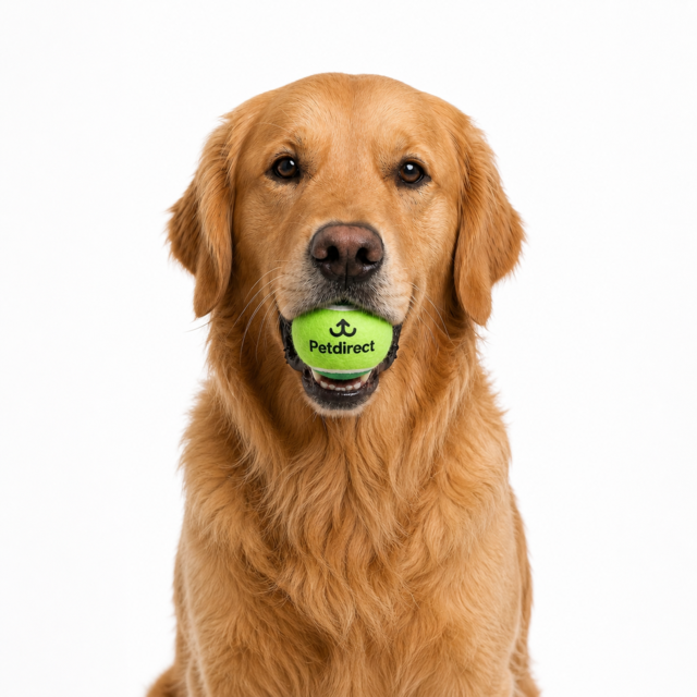 Petdirect Tennis Ball Dog Toy - Product Image 1