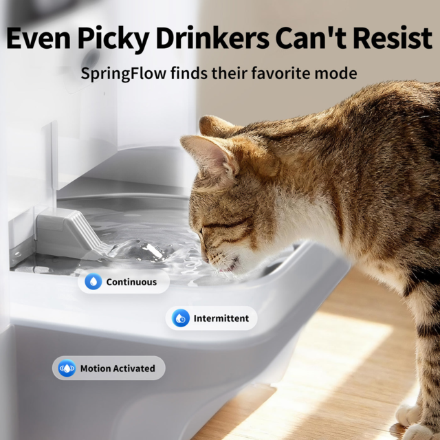 PETKIT EverSweet Ultra with Camera Pet Water Fountain White - Product Image 3