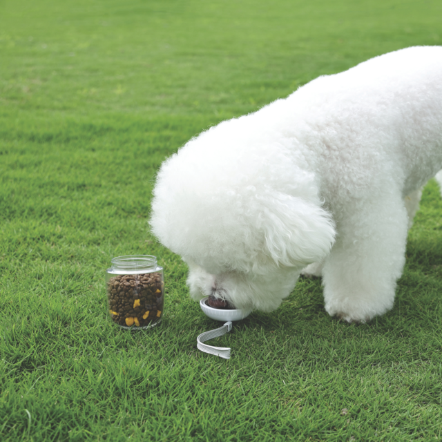 M-PETS On the Road 3-in-1 Dog Utility Travel Bottle - Product Image 13