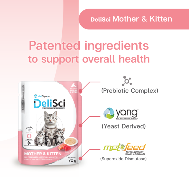 VetSynova DeliSci Mother & Kitten Mousse Wet Cat Food  - Product Image 4