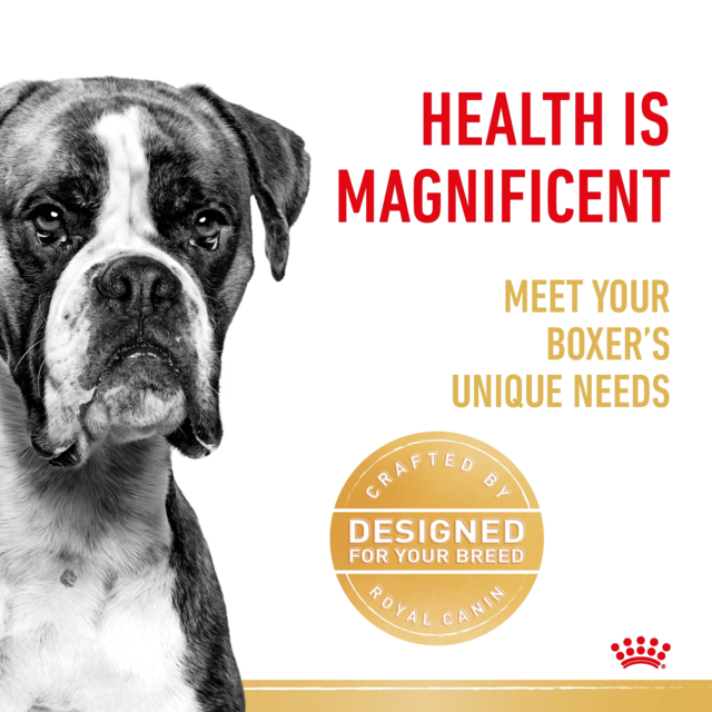 Royal Canin Boxer Adult Dry Dog Food - Product Image 3