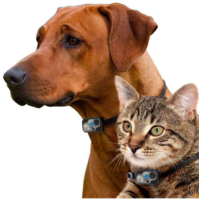 PX1 WF Wifi Automated Pet Door - Product Image 4