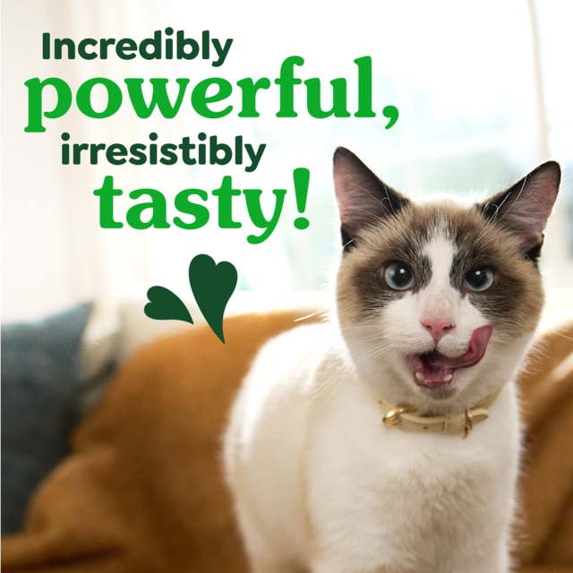 Greenies Oven Roasted Chicken Dental Cat Treats - Product Image 6
