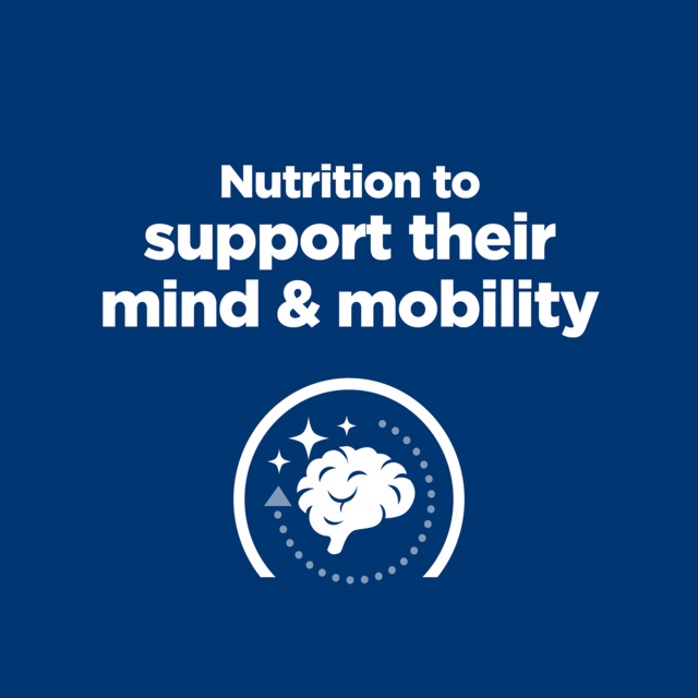 Hill's Prescription Diet b/d + j/d Cognitive + Mobility Dry Dog Food - Product Image 1