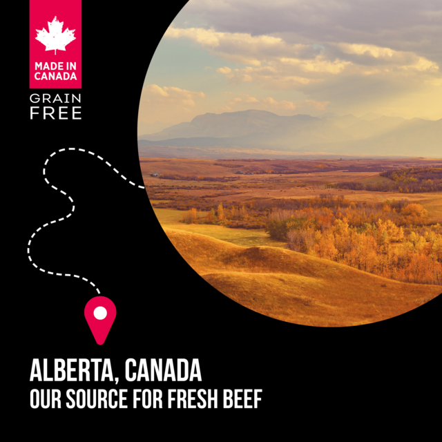 Nutrience SubZero Prairie Red Large Breed Dry Dog Food - Product Image 2