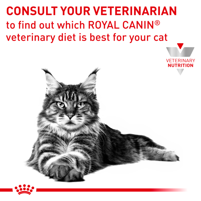 Royal Canin Vet Gastrointestinal Fibre Response Wet Cat Food Pack - Product Image 6