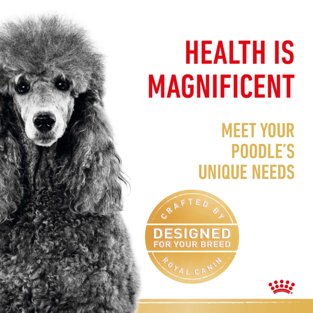 Royal Canin Poodle Adult Dry Dog Food - Product Image 3