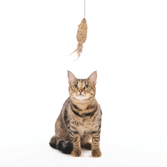 M-PETS Natura Seagrass Mouse Wand Cat Toy - Product Image 1