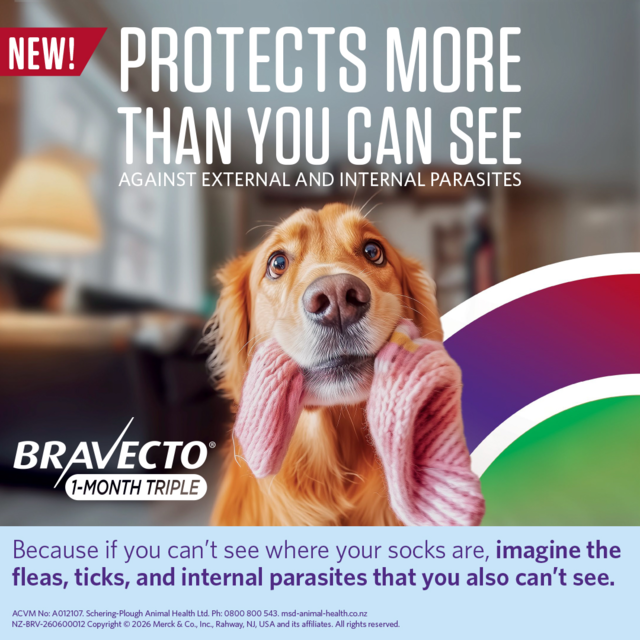 Bravecto 1 Month Triple Flea & Worm Treatment for Dogs - Product Image 3