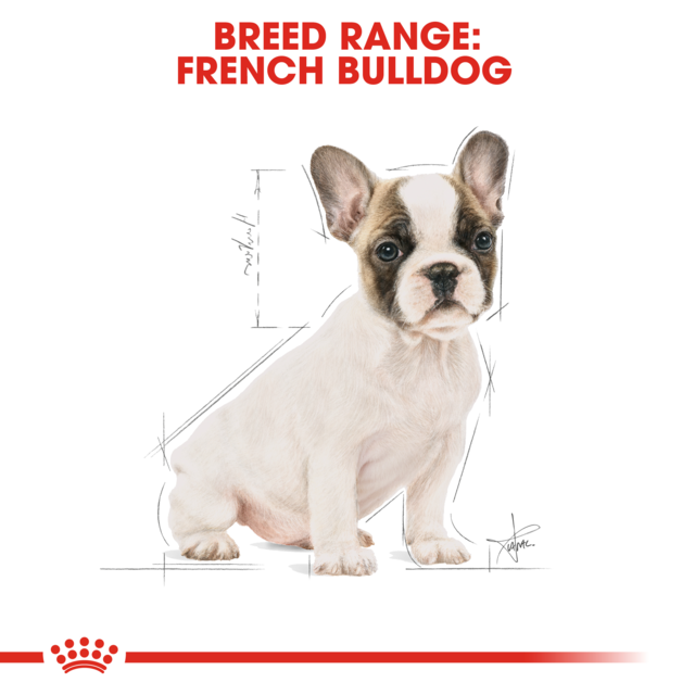 Royal Canin French Bulldog Puppy Dry Dog Food - Product Image 3