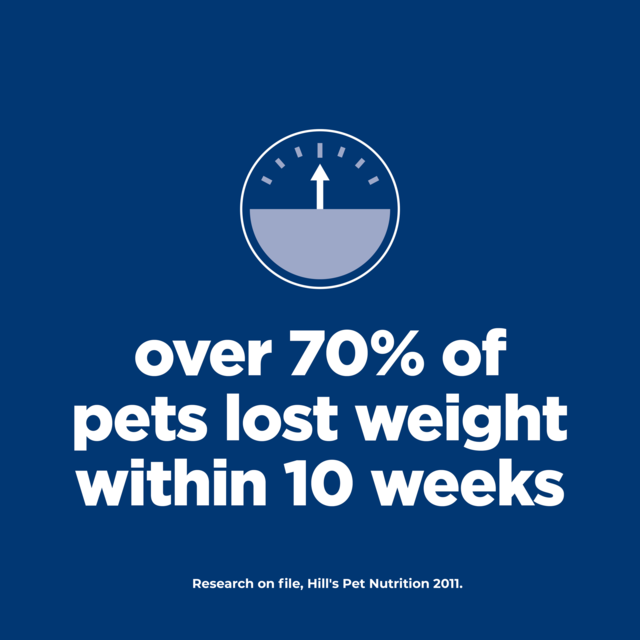 Hill's Science Diet Adult Perfect Weight Small & Mini Dry Dog Food - Product Image 3