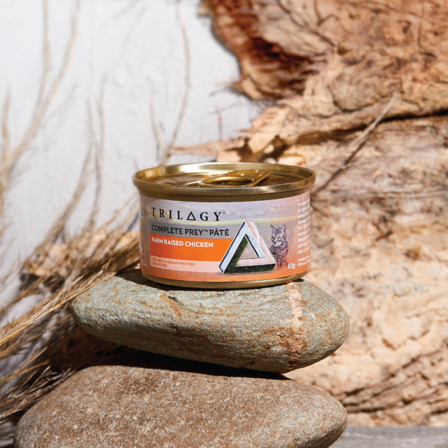 Trilogy Complete Prey Pate Chicken Wet Cat Food - Product Image 2