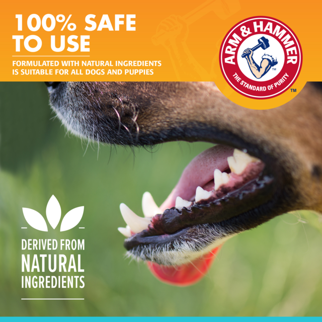 Arm & Hammer Fresh Breath Chicken Enzymatic Toothpaste for Dogs - Product Image 5