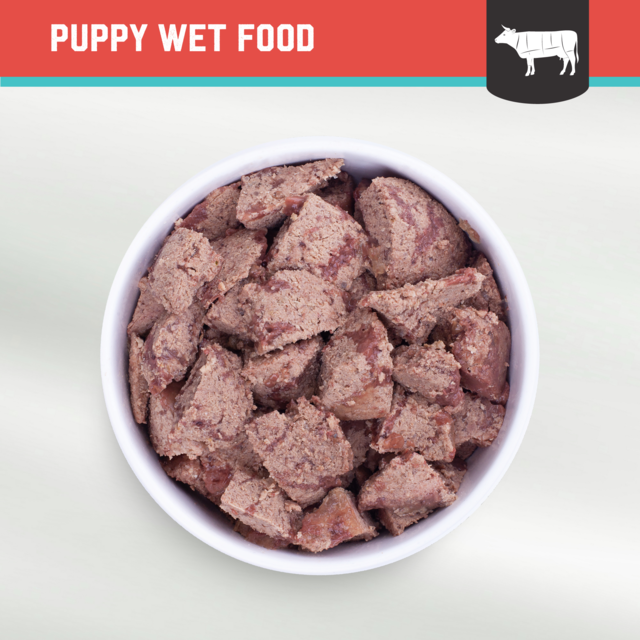 Kiwi Kitchens Beef & Mussel Puppy Wet Dog Food - Product Image 8