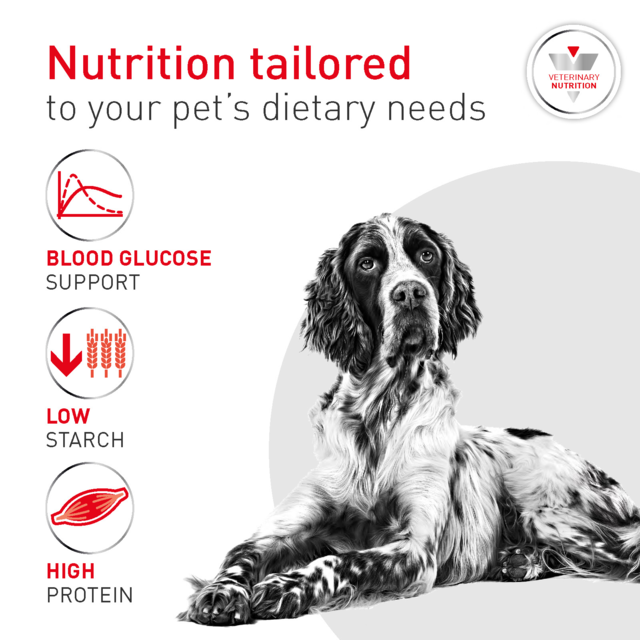 Royal Canin Vet Glycobalance Dry Dog Food - Product Image 2