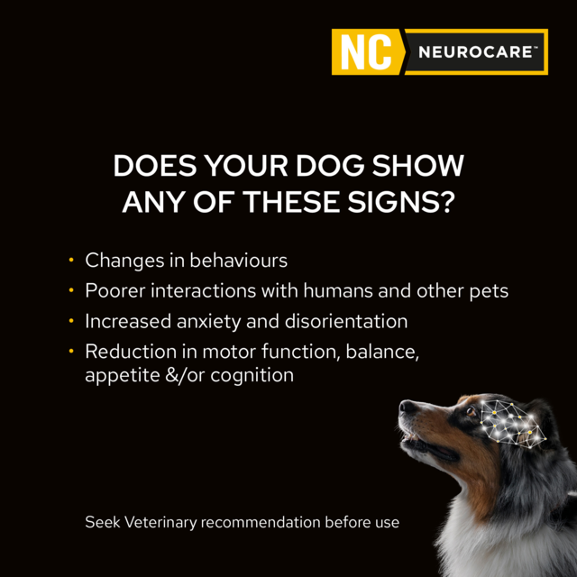 PRO PLAN Veterinary Diet Canine NC Neurocare Dry Dog Food - Product Image 2