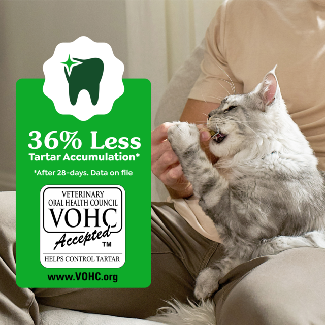 Greenies Oven Roasted Chicken Dental Cat Treats - Product Image 4