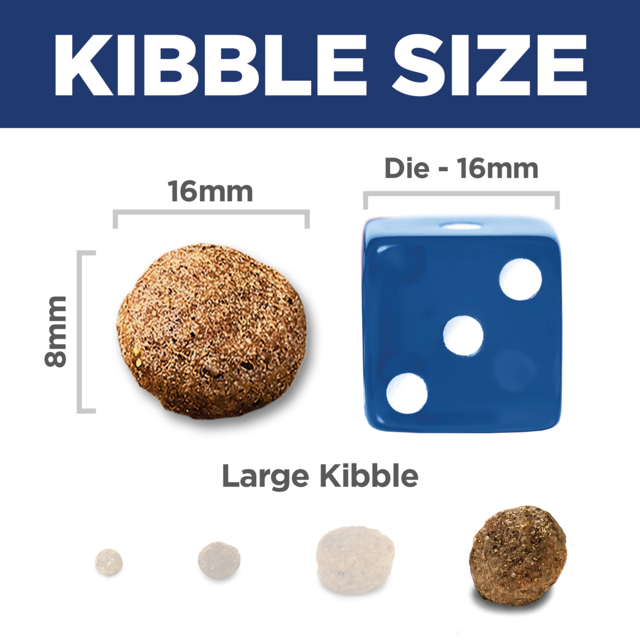 Hill's Science Diet Adult 6+ Large Breed Senior Dry Dog Food - Product Image 10