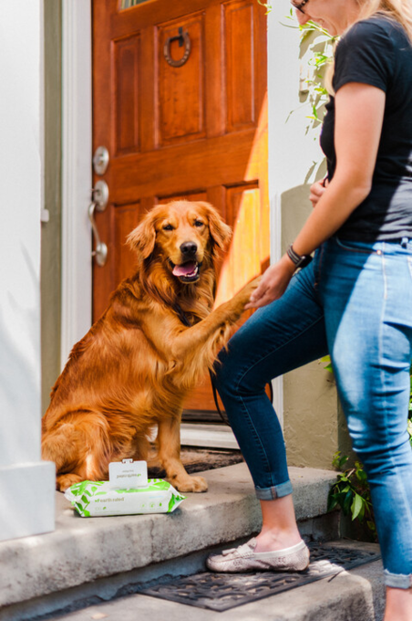 Earth Rated Compostable Dog Wipes - Product Image 8