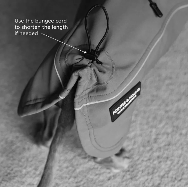 Pointer & Hound Waterproof Dog Jacket  - Product Image 5