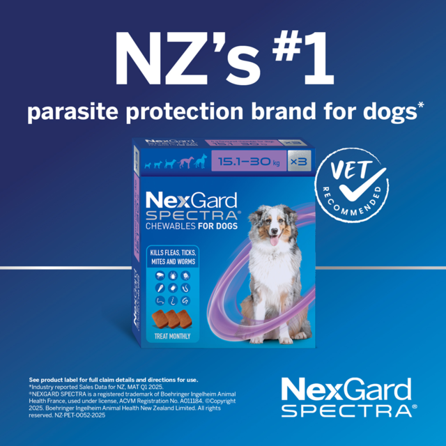 NexGard Spectra Flea Tick & Worm Treatment Chew for Dogs - Product Image 1