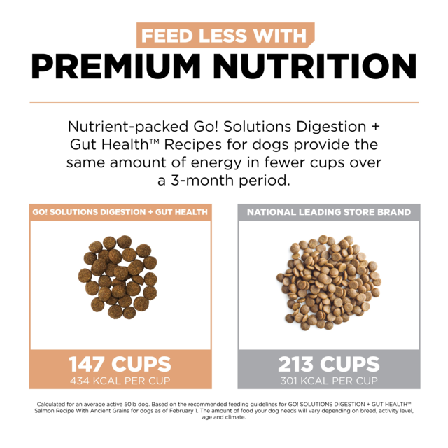 GO! Solutions Digestion + Gut Health Salmon Dry Dog Food - Product Image 5