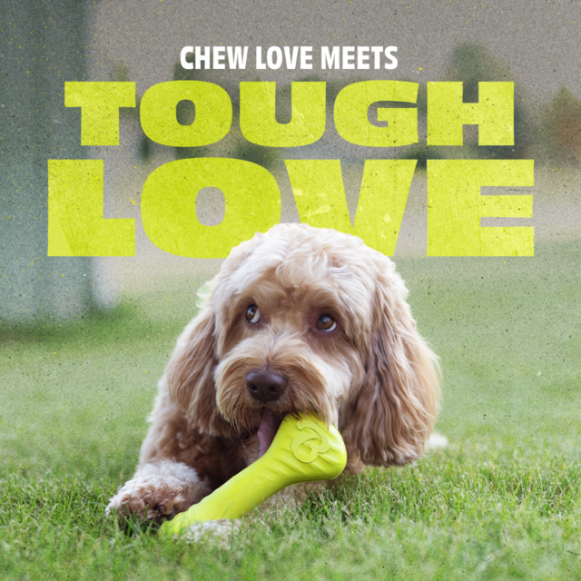 Benebone Bounce Bone Dog Toy - Product Image 4